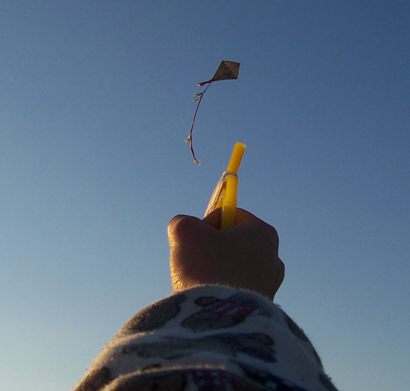 The Kite and the Weight